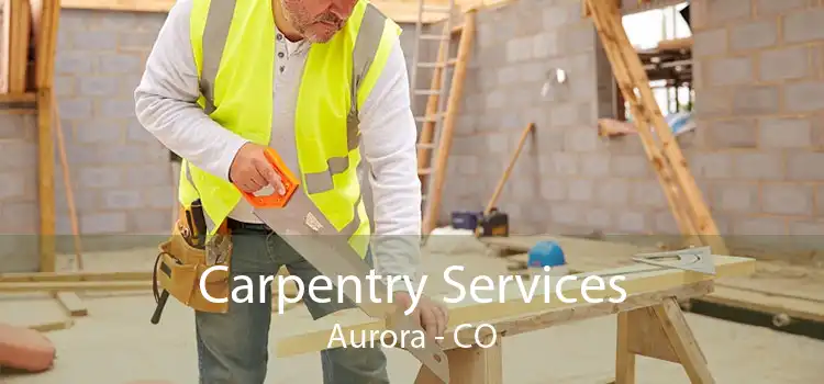 Carpentry Services Aurora - CO