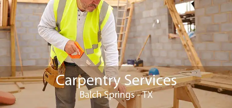 Carpentry Services Balch Springs - TX