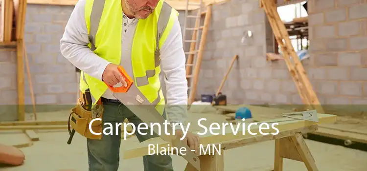 Carpentry Services Blaine - MN