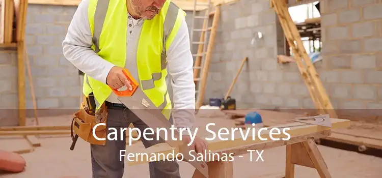 Carpentry Services Fernando Salinas - TX