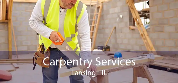 Carpentry Services Lansing - IL