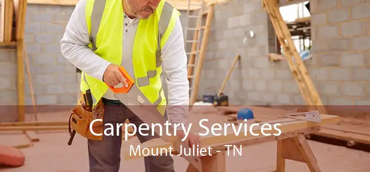 Carpentry Services Mount Juliet - TN