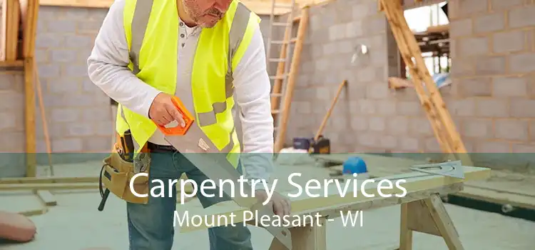 Carpentry Services Mount Pleasant - WI