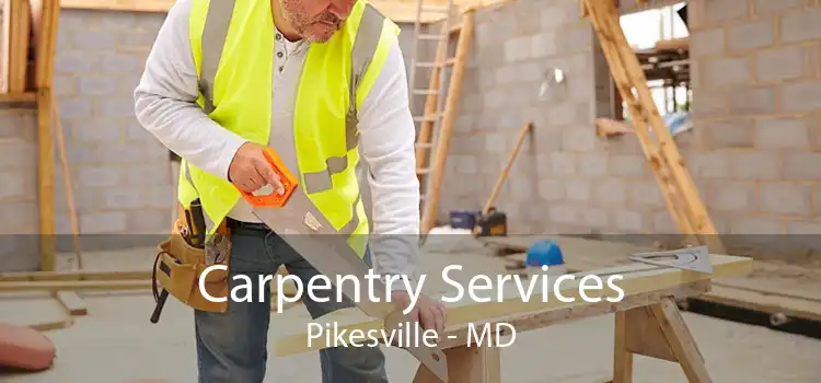 Carpentry Services Pikesville - MD