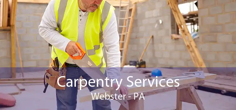 Carpentry Services Webster - PA