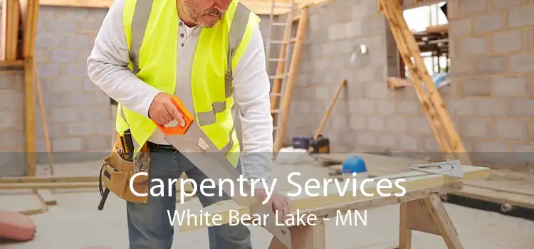 Carpentry Services White Bear Lake - MN