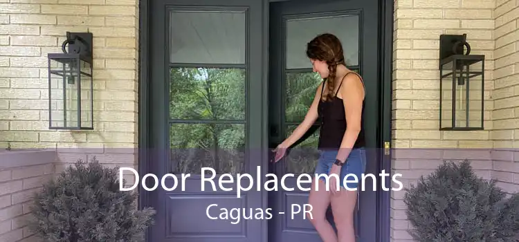 Door Replacements Caguas - PR