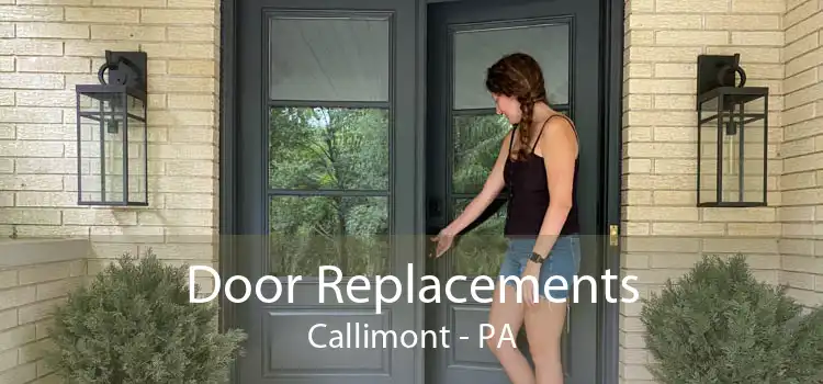 Door Replacements Callimont - PA