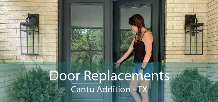 Door Replacements Cantu Addition - TX