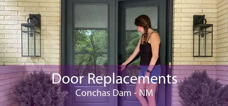 Door Replacements Conchas Dam - NM