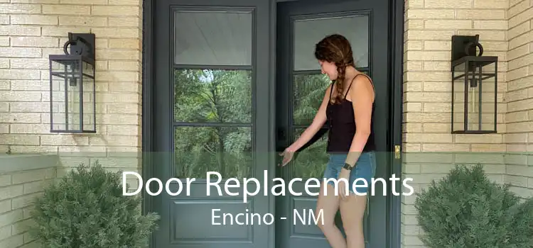 Door Replacements Encino - NM