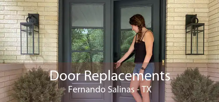 Door Replacements Fernando Salinas - TX