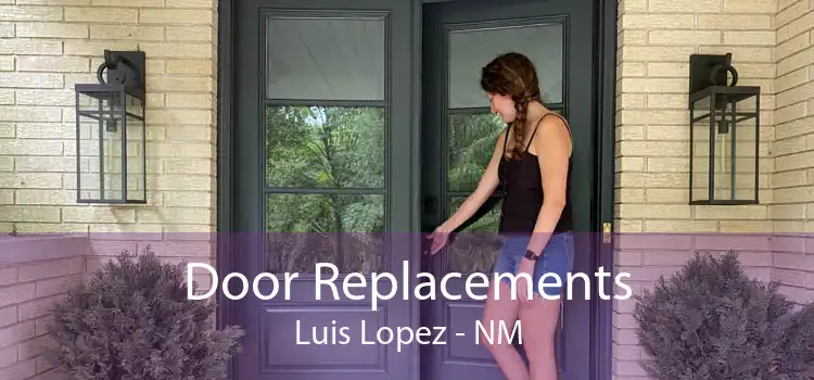 Door Replacements Luis Lopez - NM