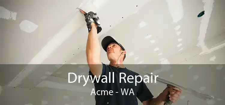 Drywall Repair Acme - WA