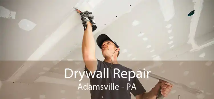 Drywall Repair Adamsville - PA