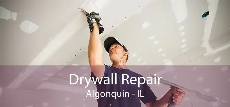 Drywall Repair Algonquin - IL