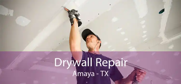 Drywall Repair Amaya - TX