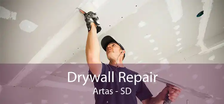 Drywall Repair Artas - SD