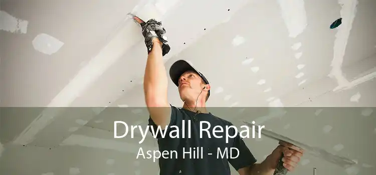 Drywall Repair Aspen Hill - MD