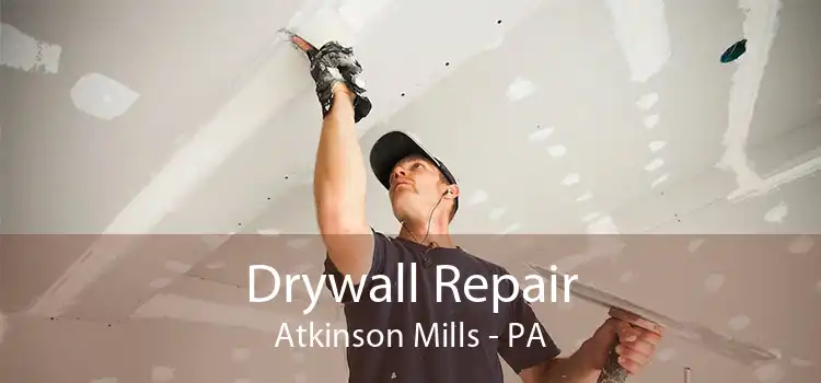 Drywall Repair Atkinson Mills - PA