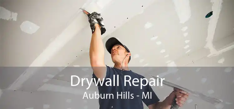 Drywall Repair Auburn Hills - MI