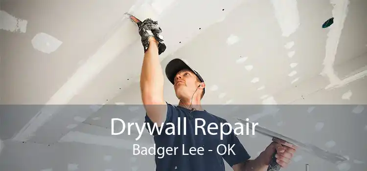Drywall Repair Badger Lee - OK