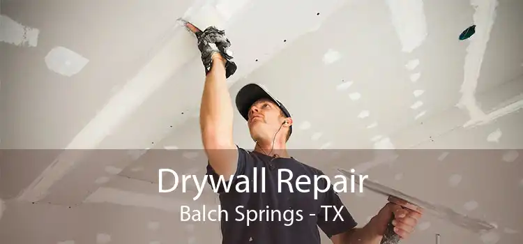 Drywall Repair Balch Springs - TX