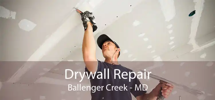 Drywall Repair Ballenger Creek - MD