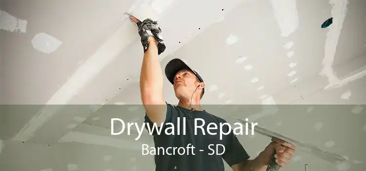 Drywall Repair Bancroft - SD