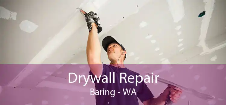 Drywall Repair Baring - WA