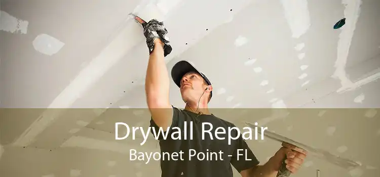 Drywall Repair Bayonet Point - FL