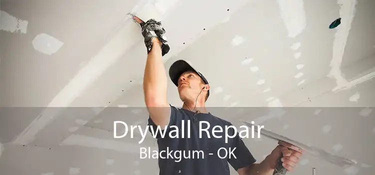 Drywall Repair Blackgum - OK