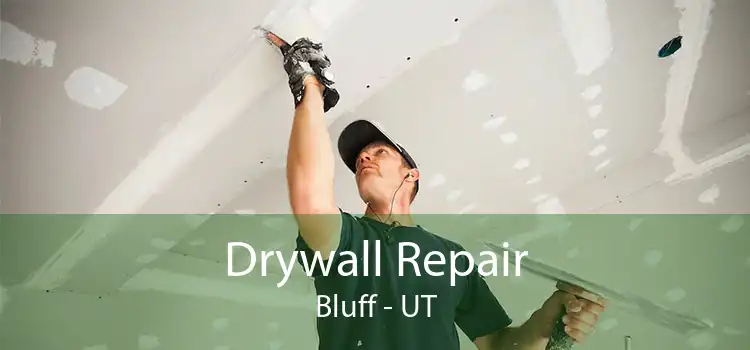 Drywall Repair Bluff - UT