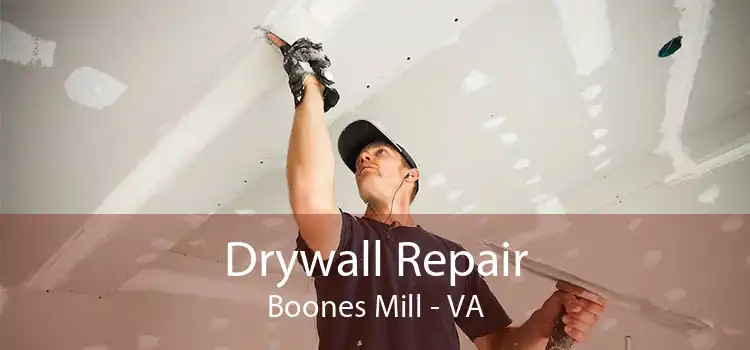 Drywall Repair Boones Mill - VA