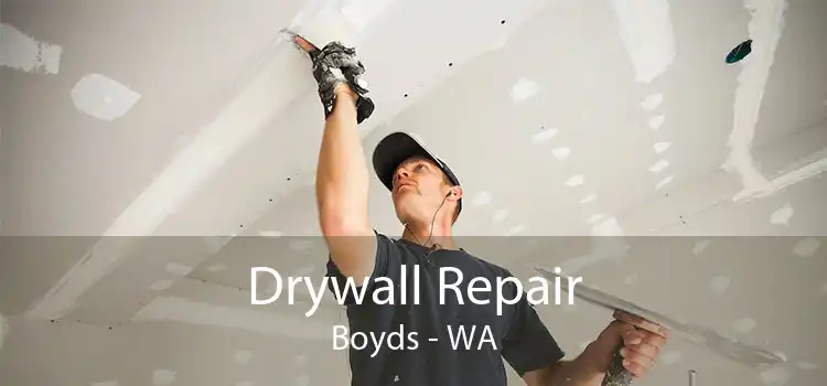 Drywall Repair Boyds - WA