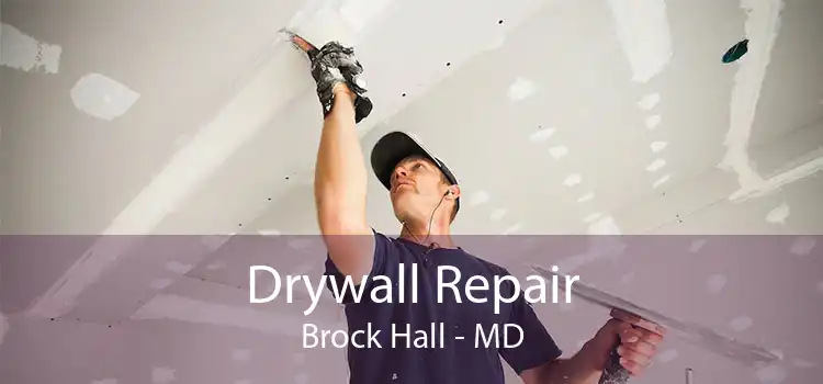 Drywall Repair Brock Hall - MD