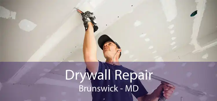 Drywall Repair Brunswick - MD