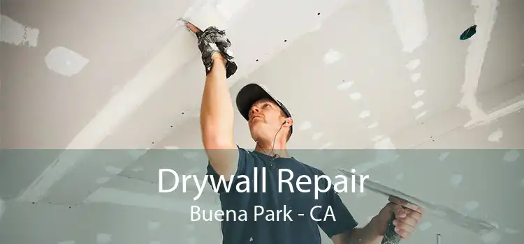 Drywall Repair Buena Park - CA