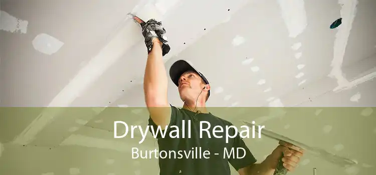 Drywall Repair Burtonsville - MD