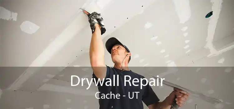 Drywall Repair Cache - UT
