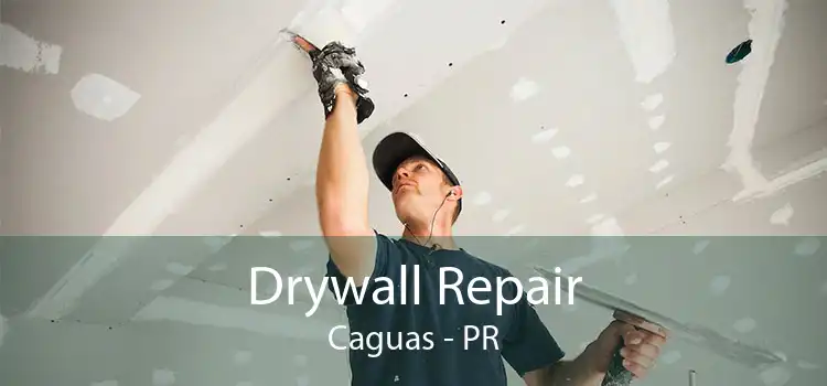 Drywall Repair Caguas - PR