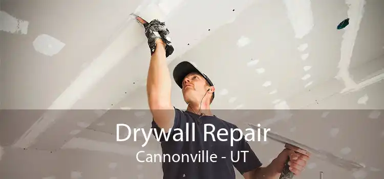 Drywall Repair Cannonville - UT