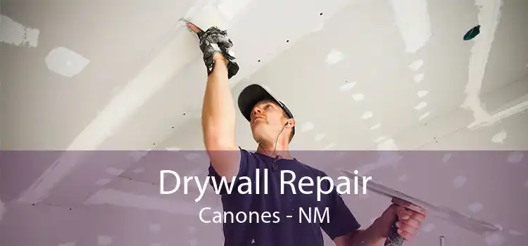Drywall Repair Canones - NM
