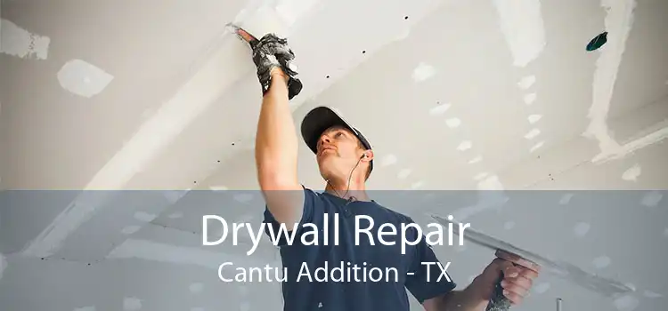 Drywall Repair Cantu Addition - TX