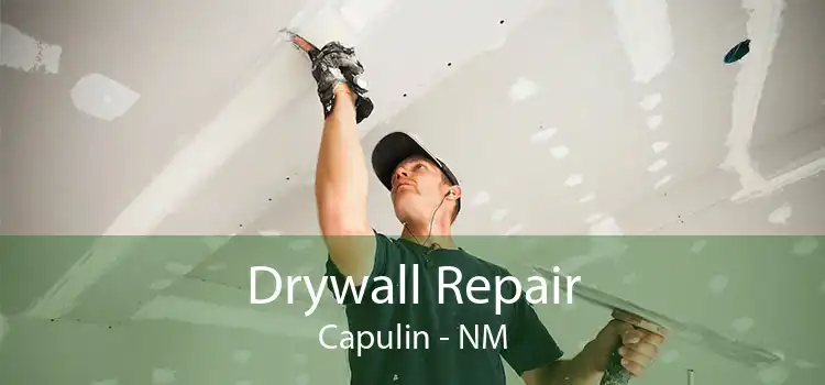 Drywall Repair Capulin - NM