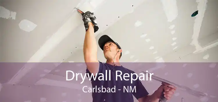 Drywall Repair Carlsbad - NM