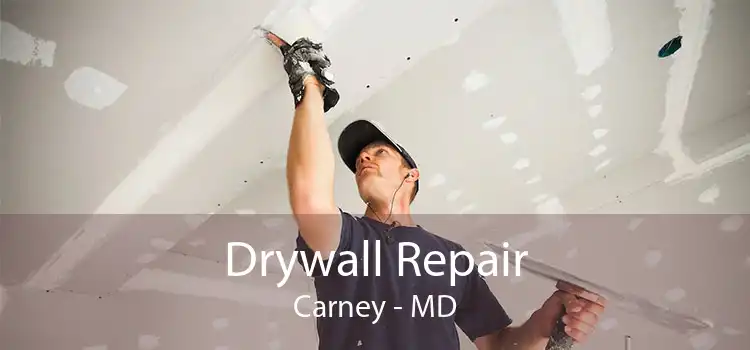 Drywall Repair Carney - MD