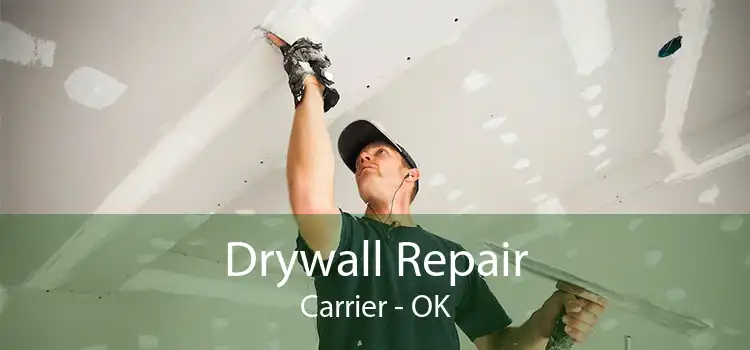 Drywall Repair Carrier - OK
