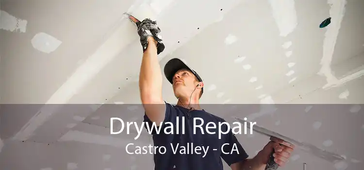 Drywall Repair Castro Valley - CA