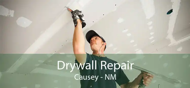 Drywall Repair Causey - NM